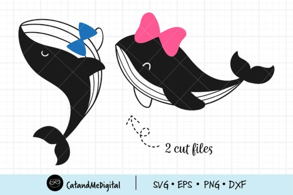 Download Cute Whale Svg - Whale svg Collection